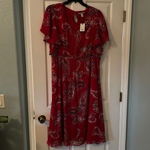 Dana Bachman dress women's.
